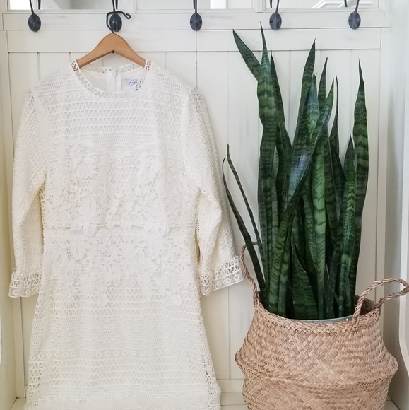 Stunning Off White Fitted Lace Midi Dress - Picture 11 of 12